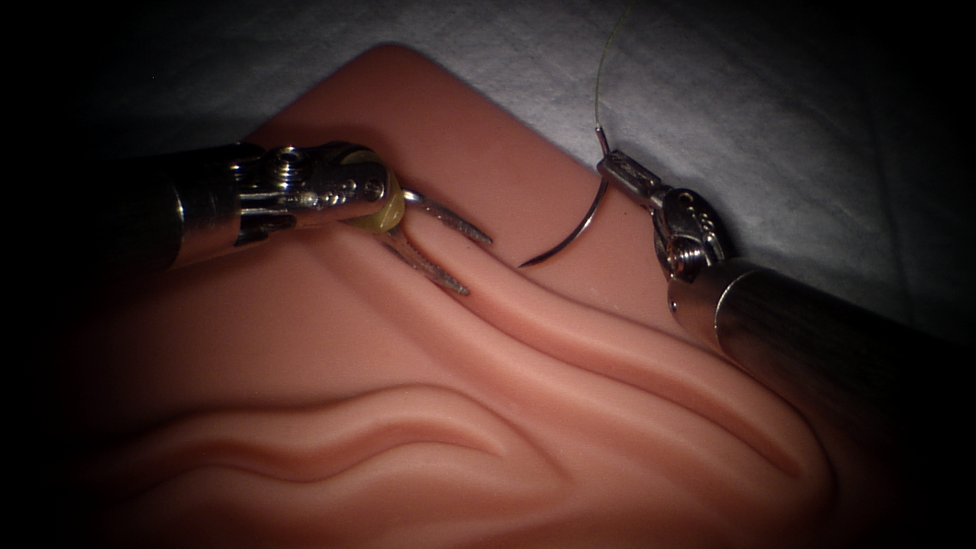 dVRK-Si default endoscope sample frame